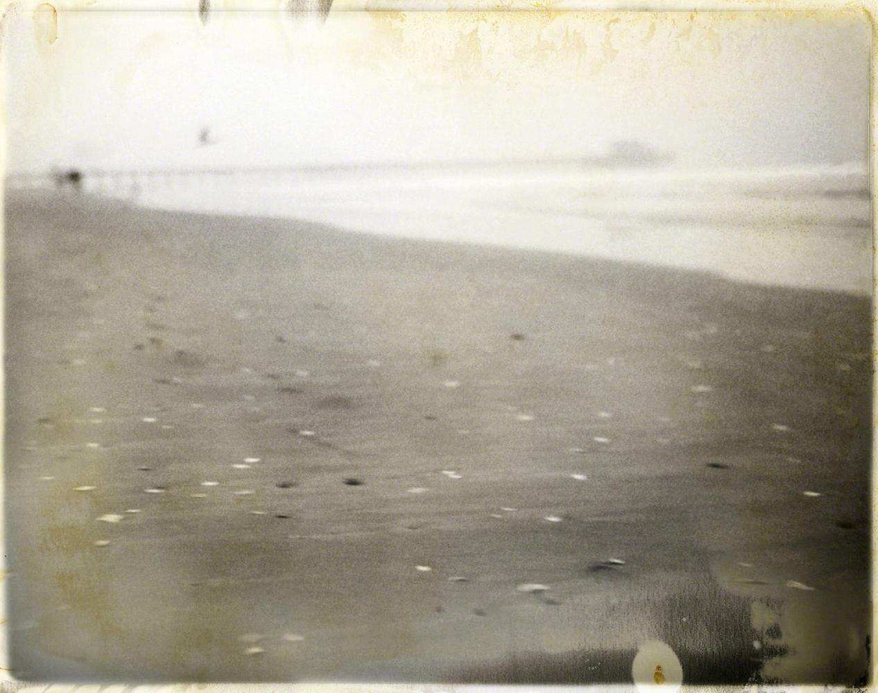 Shells on Beach